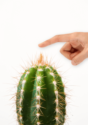 cactus.png